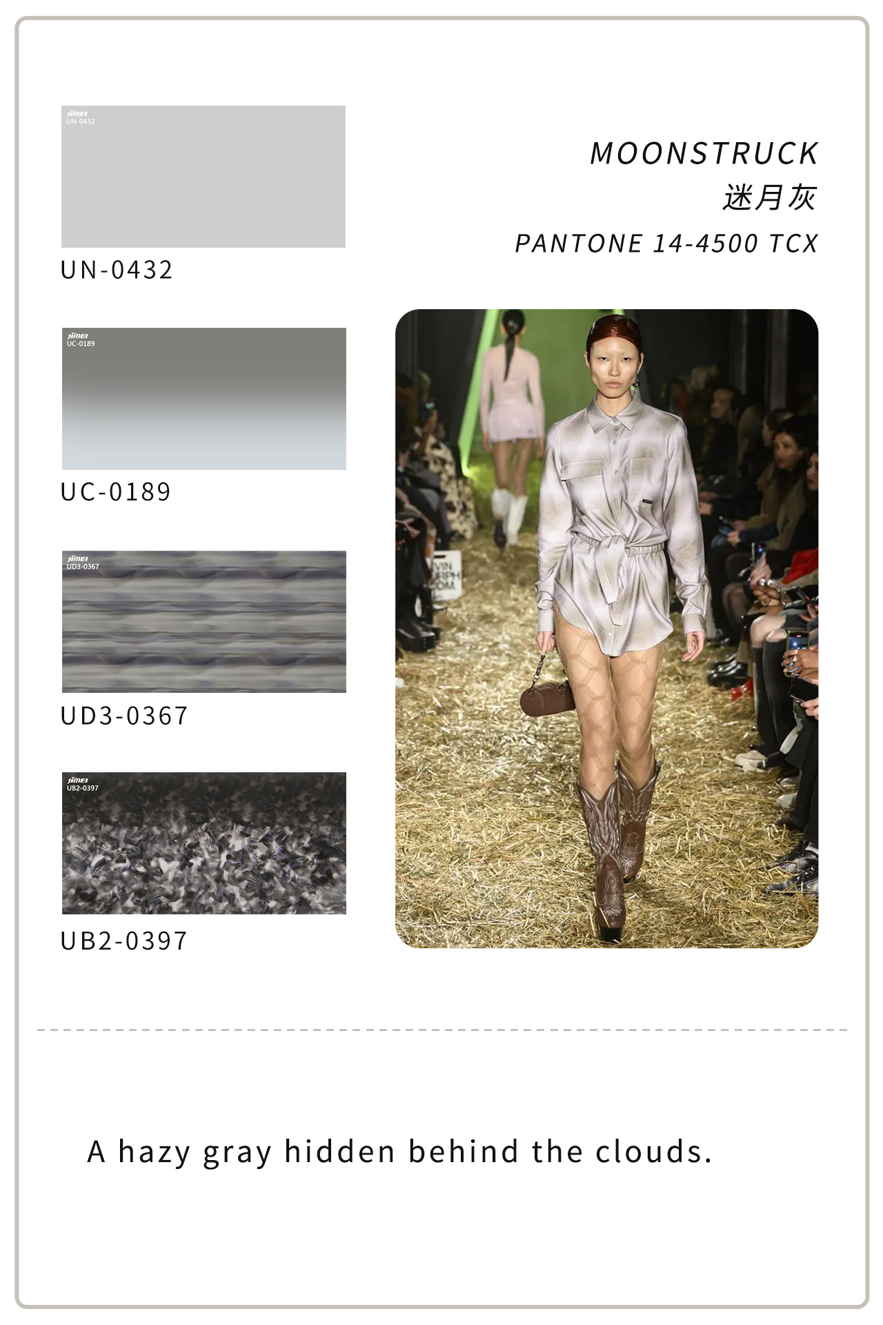 FW 2024/2025 New York Fashion Week Color Trends Report